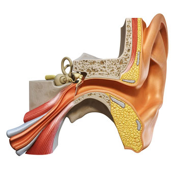 Tinnitus und Ohrenschmerzen